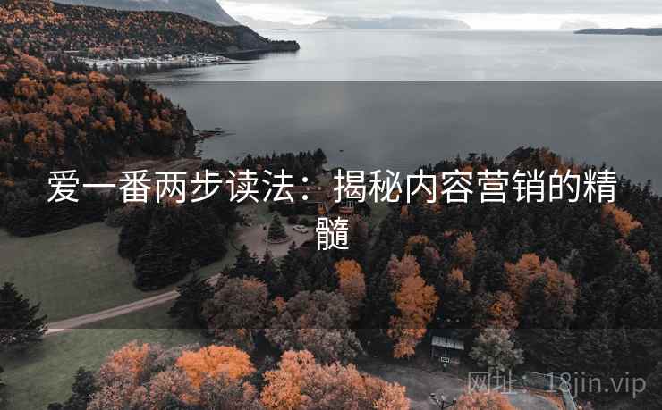 爱一番两步读法：揭秘内容营销的精髓