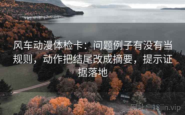 风车动漫体检卡：问题例子有没有当规则，动作把结尾改成摘要，提示证据落地